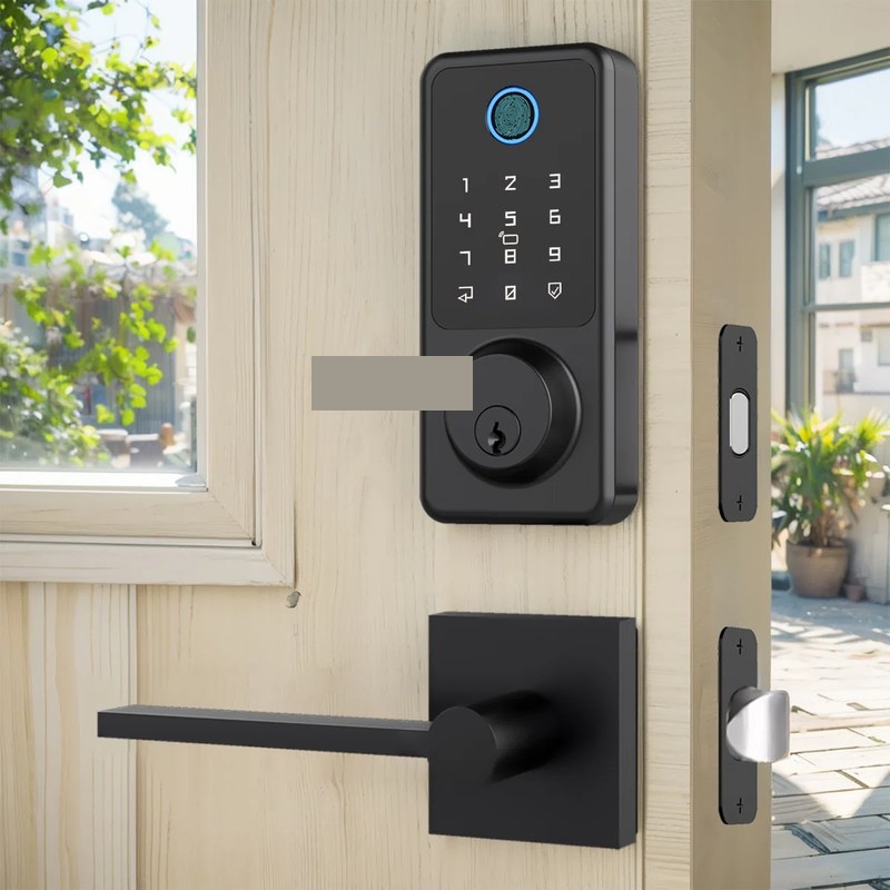 Fingerprint Lever Lock